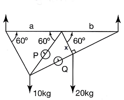 2456_Calculate the value of forces.png